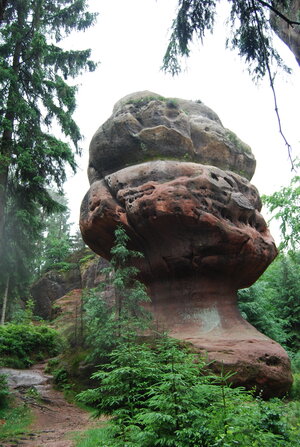 »Pilz oder Stein?« Sandsteingebilde in Form eines Pilzes